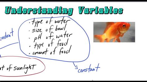 Independent And Dependent Variables Made Easy Youtube