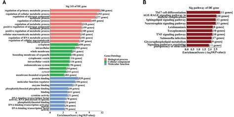 Frontiers Altered Expressions Of Transfer Rna Derived Small Rnas And