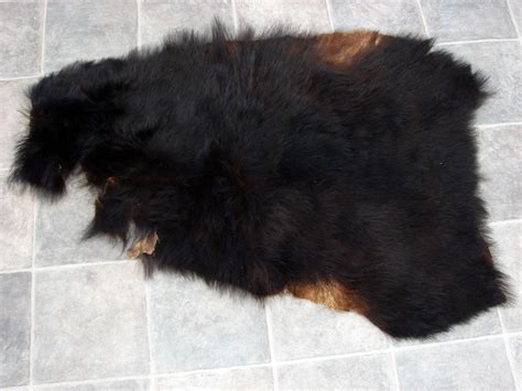 Vintage Real Black Bear Taxidermy Hide Pelt Fur Craft 46 X 32 Moose