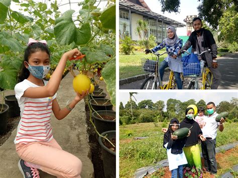 Taman Buah Mekarsari Wahana Fasilitas Lapis Bogor Sangkuriang