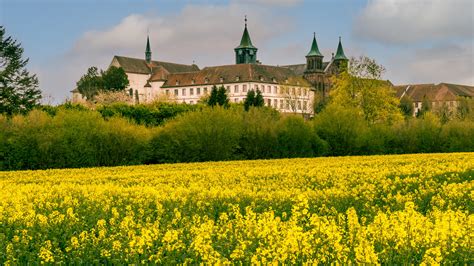 Abbaye D Oelenberg Et Ses Champs De Colza Flickr