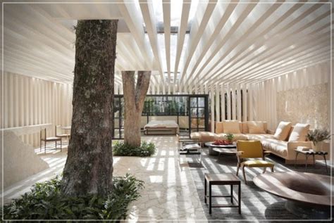 ¿Tendrías un árbol de interior en tu casa? - PLANETA ARQUITECTURA