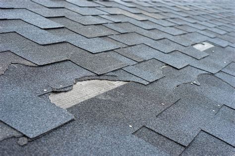 Roof Maintenance Tips Homeowners Should Know