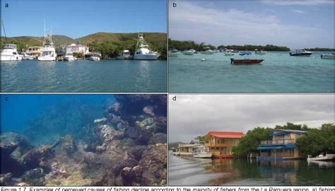 Figure 1 1 From Coral Reef Ecosystems Of Reserva Natural De La Parguera