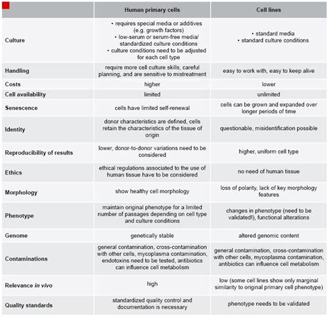 Human primary cells versus cell lines: differences and advantages