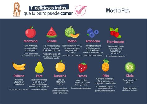 Deliciosas Frutas Que Tu Perro Puede Comer