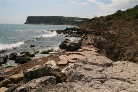 A Glimpse Into the Isle of Wight’s Geological History : r/IsleofWightUK