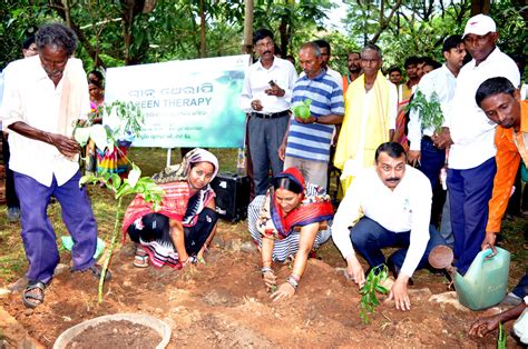 30 Tribal Vaidyas Plant Traditional Medicinal Plants In Herbal Garden Of Sukinda Chromite Mine