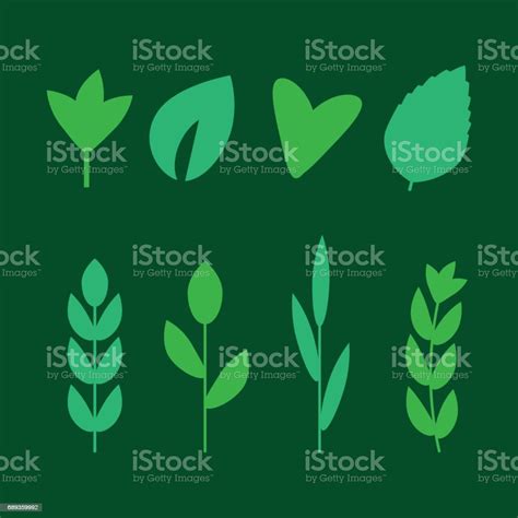 Salad Ingredients Leafy Vegetables Vector Flat Icons Set Organ Stock Illustration Download