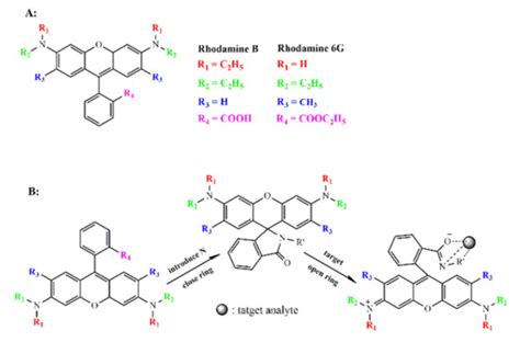 Chemosensors Free Full Text Recent Developments In Rhodamine Based