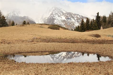 Puddle On Grassland In Mountains · Free Stock Photo