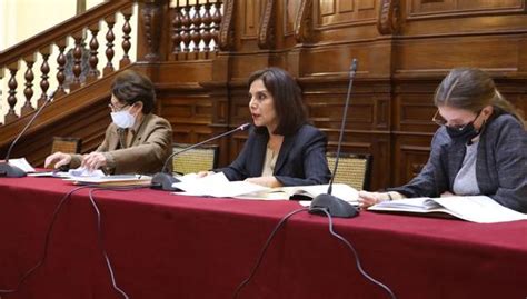 Asamblea Constituyente ¿cuáles Son Los Argumentos De La Comisión De