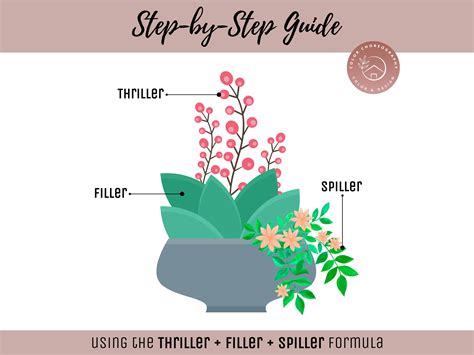 Easy Container Flower Garden Guide Beginner-friendly Potted Flower Plan