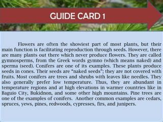 The Hows Of The Naked Seed Sim PPT