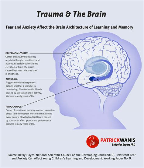 Brain Development Within Early Adolescent Years.