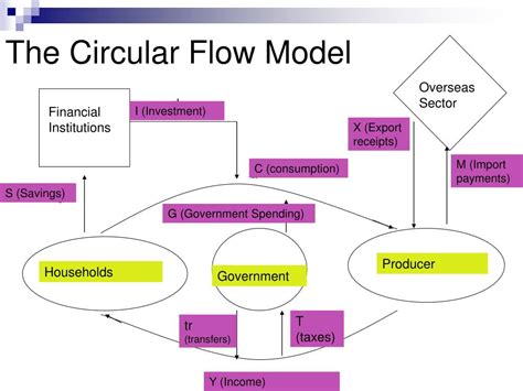 PPT - The Circular Flow Model PowerPoint Presentation, free download ...