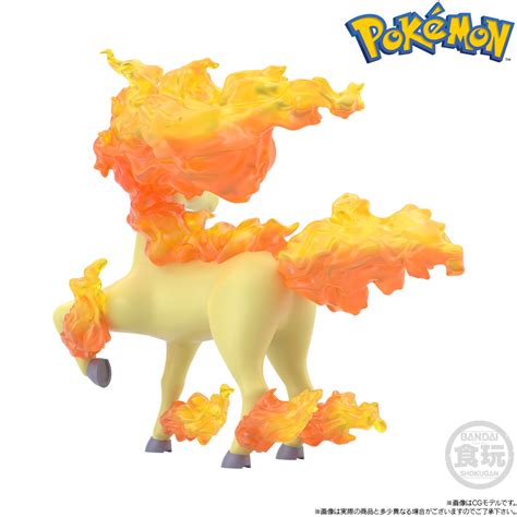 Pok Mon Scale World Kanto Region Blaine Rapidash Magmar W O Gum