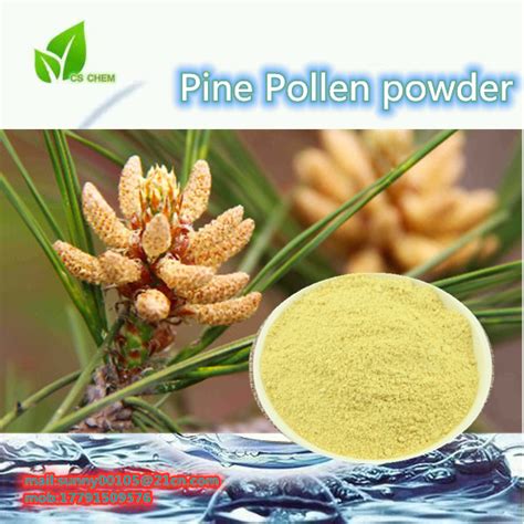 99 Cell Wall Broken Pine Pollen Pinus Massoniana Powder Shaanxi