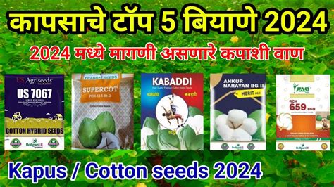 कापूस टॉप 5 बियाणे 2024 Kapus Cotton Seeds 2024 Kapashi Top Biayne 2024 कापूस टॉप बियाणे