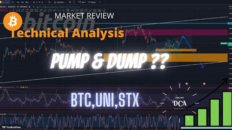 Bitcoin Signal Pump And Dump Lihat Data Ini Youtube