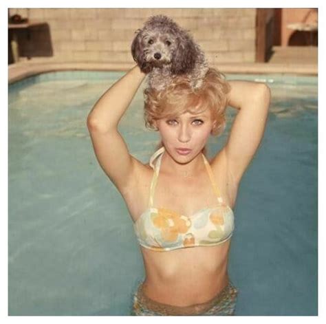 Melody Patterson