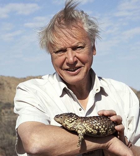 01044981 Sir David Attenborough Holding Shingleback Skink Flickr