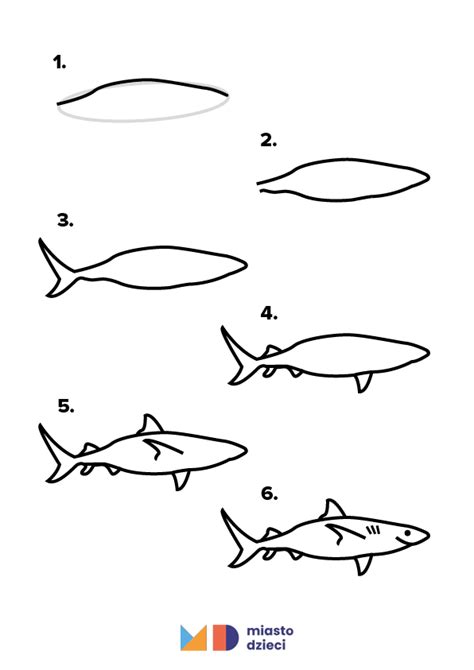 Jak Narysowa Rekina Krok Po Kroku Instrukcje Rysowania Do Druku
