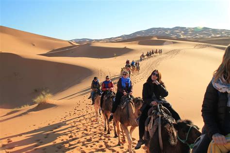 One Night Camel Trekking In Merzouga Desert