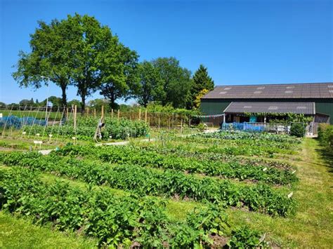 Dorpstuin Doet Mee Aan Ecoveltdagen Nieuws Sleenweb