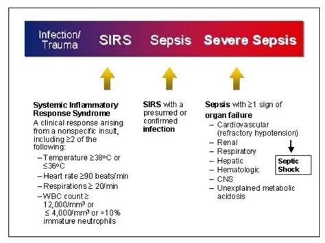 Sepsis And Septic Shock