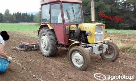 Obraz Traktor Ursus C 330 599221 Galeria Rolnicza Agrofoto