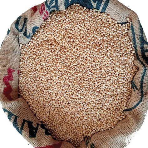 Whole Jowar Sorghum Flour Ranmeva