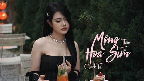 MỘNG HOA SIM - OANH TẠ ( Cover ) THIÊN TÚ || Chuyện Hoa Sim Bên Lưng ...