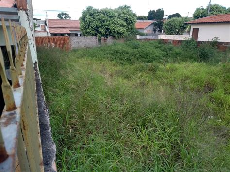 Terreno Invadido A Mais De 5 Anos - RECLAMAÇÃO DA POPULAÇÃO: Terreno invadido por mato e entulho no Bairro ...