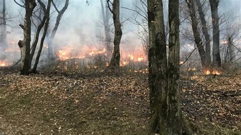 Ancora Fiamme Nei Boschi Di Sonvico