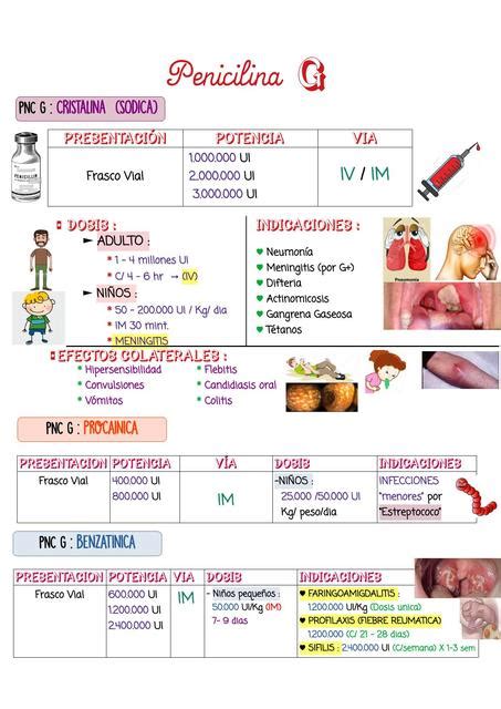 Penicilina G Apuntes Med UDocz