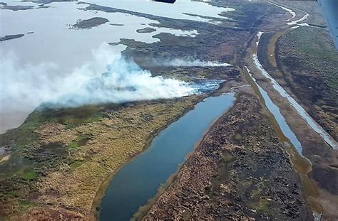 Quemas En El Delta En El Año Van 10 Mil Focos Y 130 Mil Hectáreas