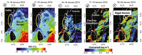 Nasa Modis Terra Satellite Sensors Derived Three Day Composite Images