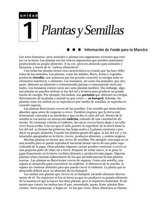 Plantas PDF