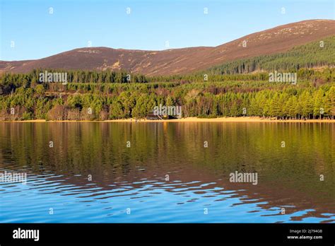 Afternoon Sunshine At Loch Morlich Cairngorms National Park Near