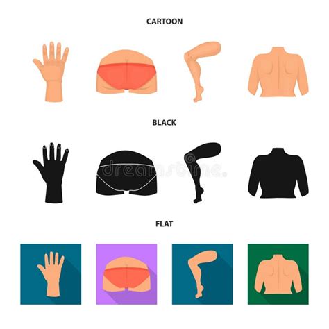 Vector Illustration Of Body And Part Symbol Set Of Body And Anatomy