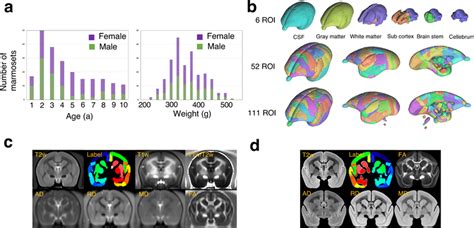 Of The Marmoset Magnetic Resonance Imaging Mri A Histograms Of Age