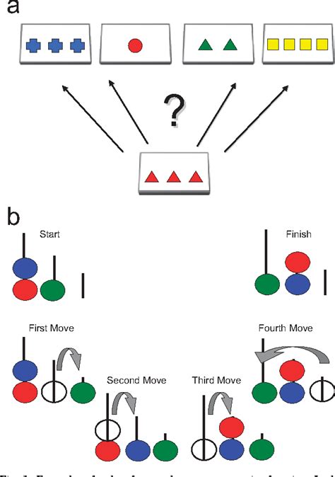 Figure 1 From Current Directions In Psychological Science April 2009