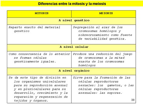 Un Cuadro Comparativo Con Las Semejanzas Y Diferencias Entre Un Esquema