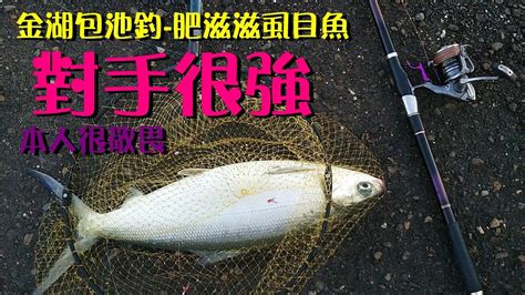 金湖蛤蜊池包池 釣🦈大尾虱目魚【對手很強本人心存敬畏 😍 Youtube