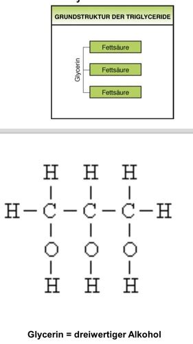 Grundlagen Lipide Karteikarten Quizlet