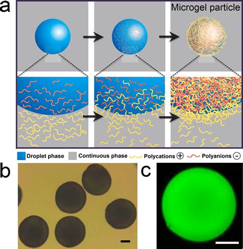 A Schematics Of Affinity Partitioning Induced Fabrication Of