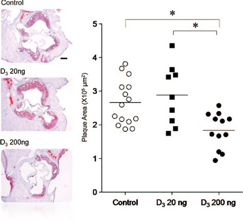 Figure 1 From Oral Administration Of An Active Form Of Vitamin D3