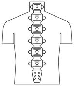 Dibujo De Columna Vertebral Para Colorear Dibujos Para Colorear