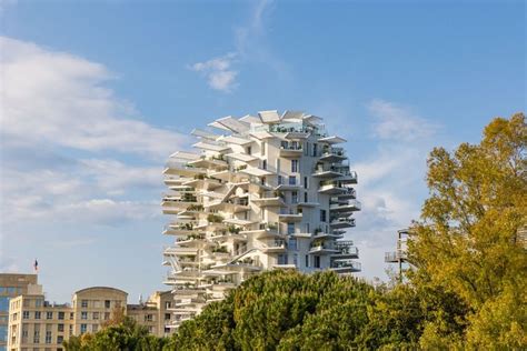 Arbre Blanc Montpellier